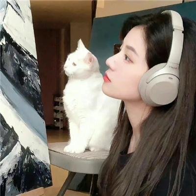 潜行追踪 第三季